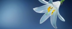 trendfarben 2022 blau